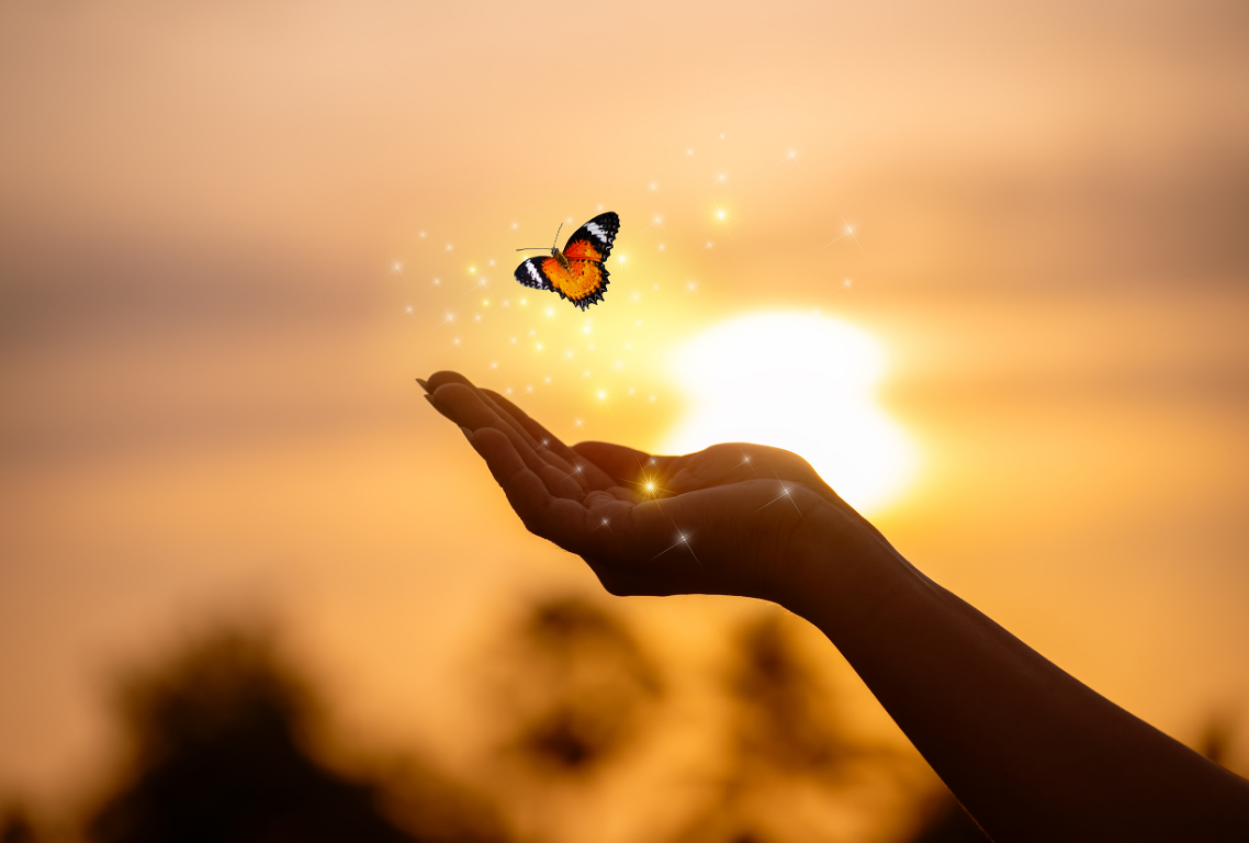 Hands releasing a butterfly at sunset